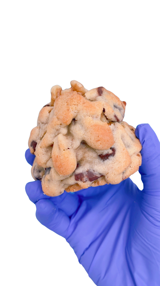 GOLDEN CHOCOLATE CHIP WALNUT: Bakery Style Chip Walnut Cookie