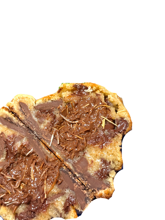 CROCANTE: CRISPY NUTELLA MELT