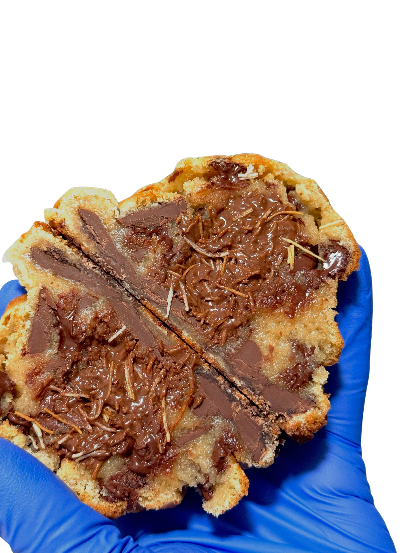 CROCANTE: CRISPY NUTELLA MELT