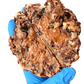 CHOCO CARAMELS DREAMS