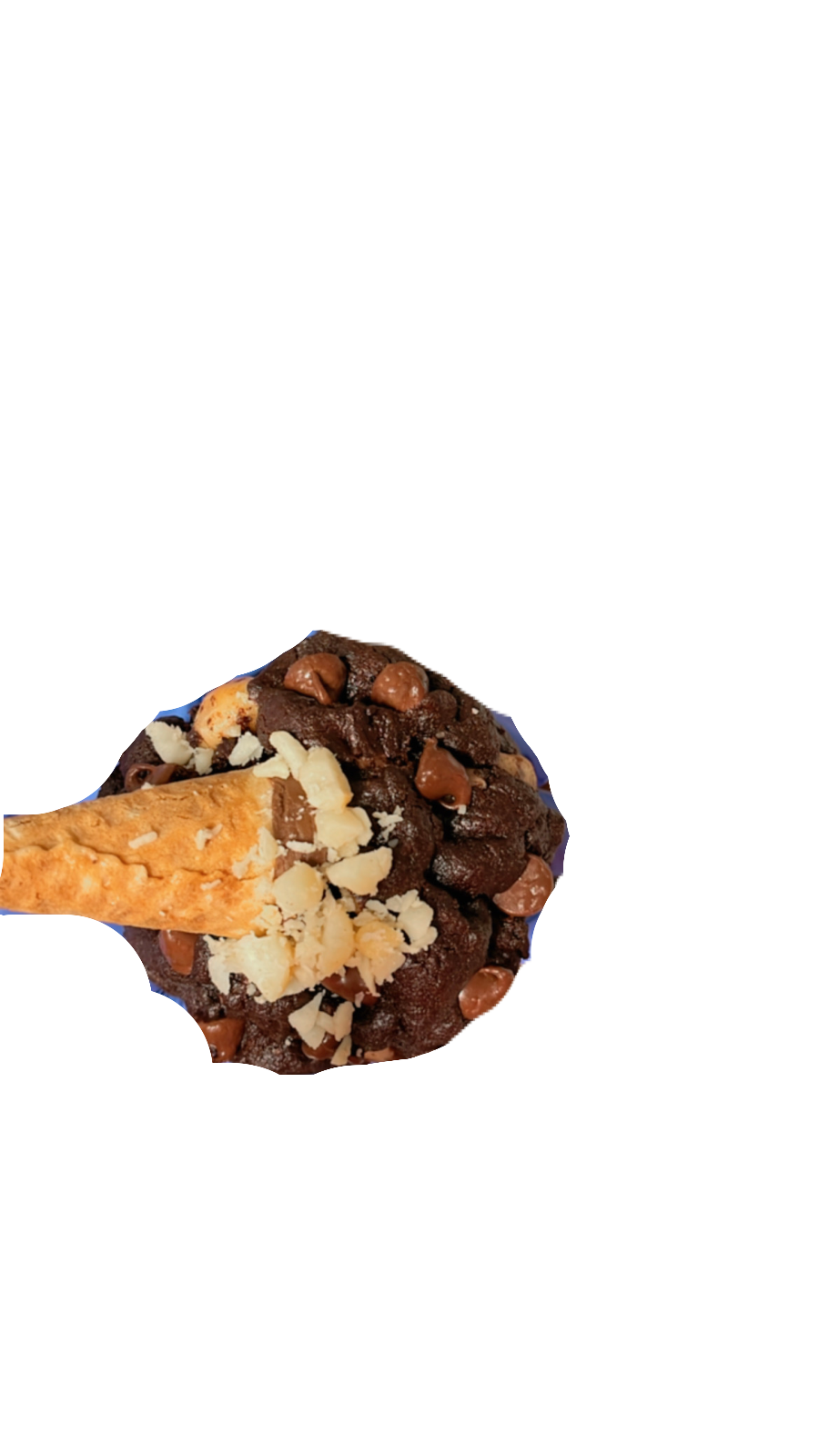 DULCE DE LECHE SALTED MACADAMIA: Double Chocolate Nutty Crunch Cookie