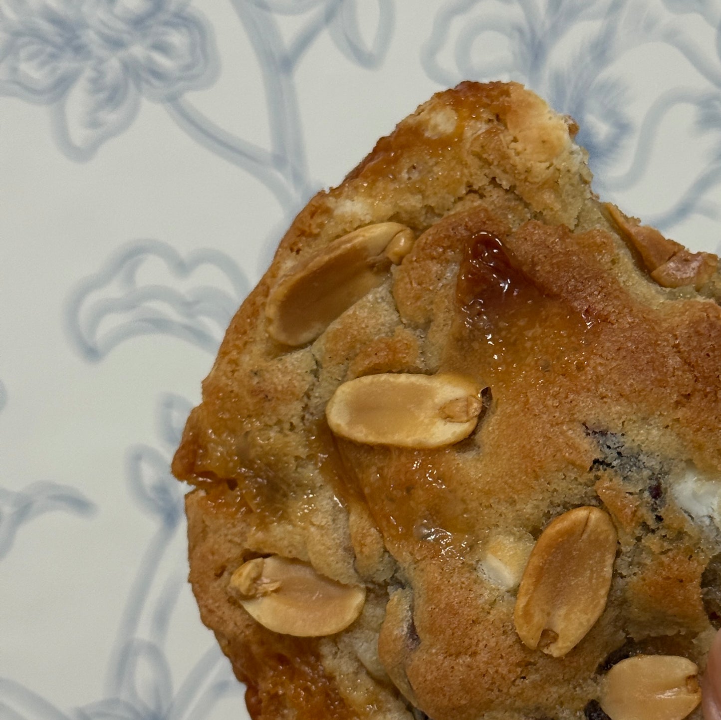 5 SIGNATURE FLAT COOKIE COLLECTION: CHOOSE YOUR FAVORITE!