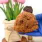 MOTHER'S DAY Menu