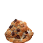 CAMPFIRE COOKIE