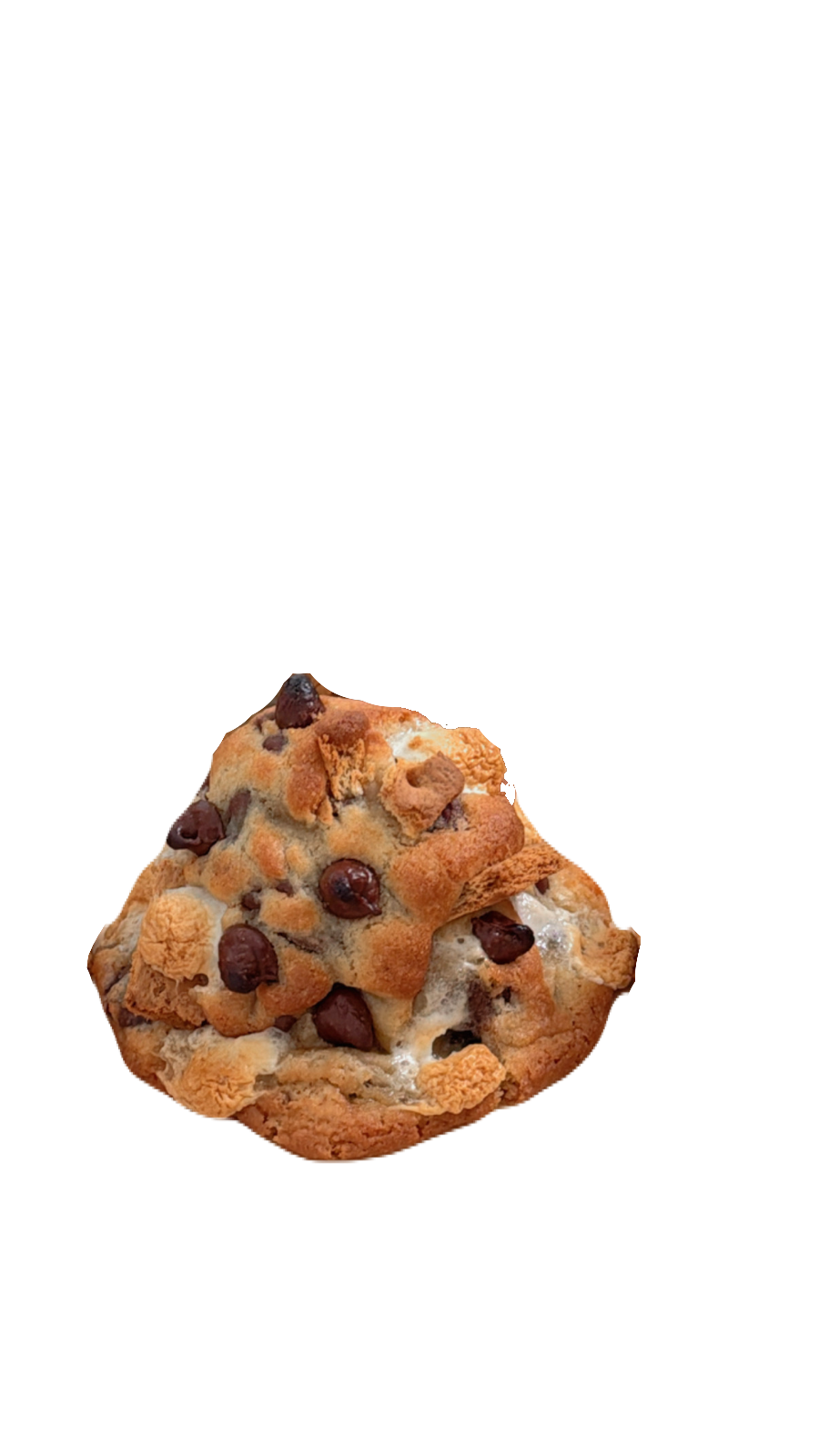 CAMPFIRE COOKIE