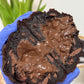 PASTRY SHOP - 7.5 POUNDS BONBON CROCANTE ECCO BRAND