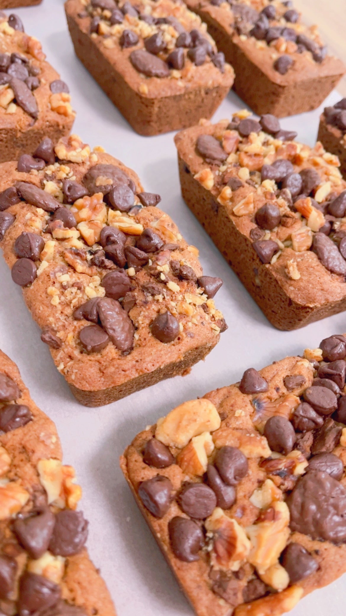 VENTA FLASH / SHIPPING DAY: FEB 9