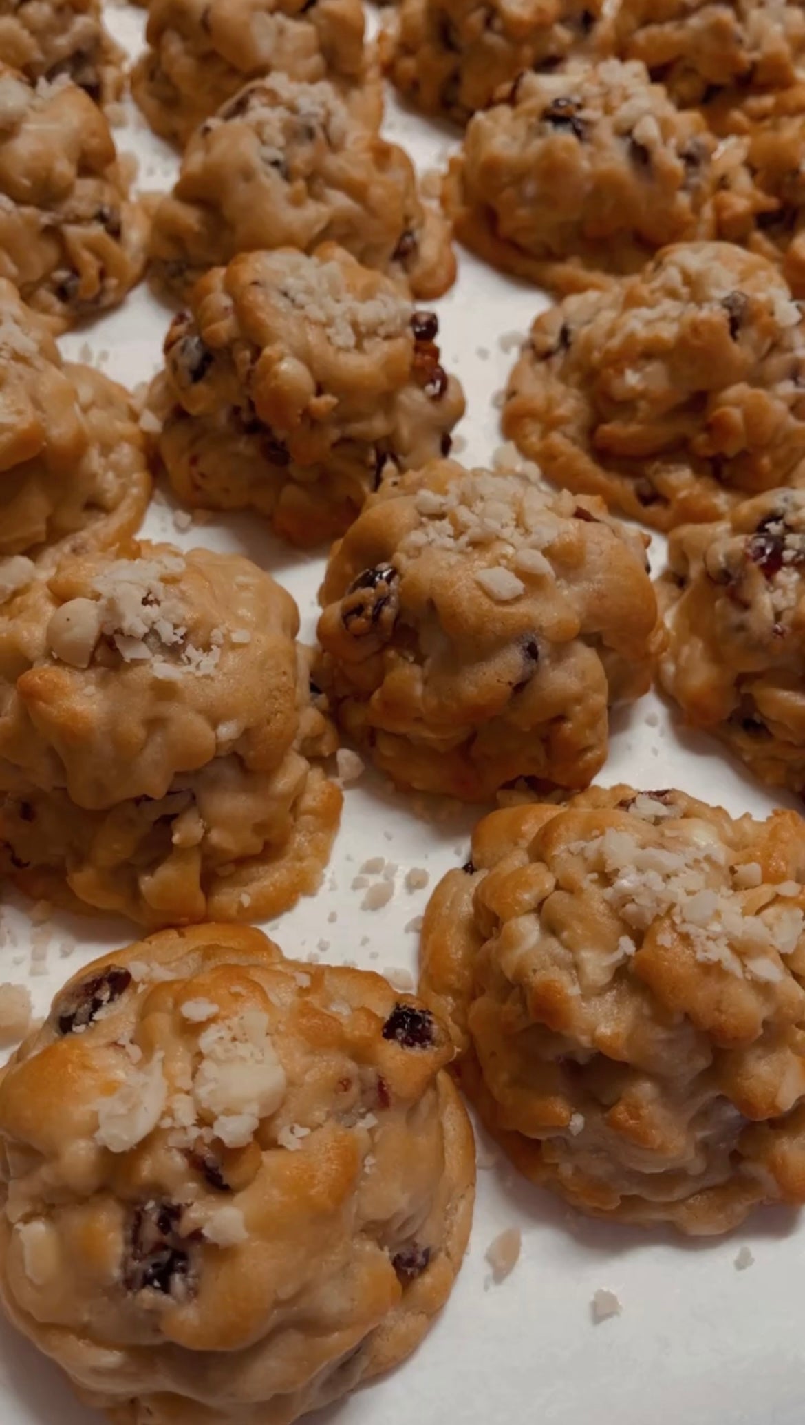 VENTA FLASH / DESPACHO NOV 4